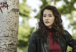 柴碧云演过的电视剧,情感与命运的交织