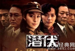 潜伏电视剧在线观看,揭秘谍影重重，在线观看重温谍战风云