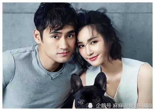 吃瓜娱乐圈有新瓜吃了,揭秘明星幕后故事